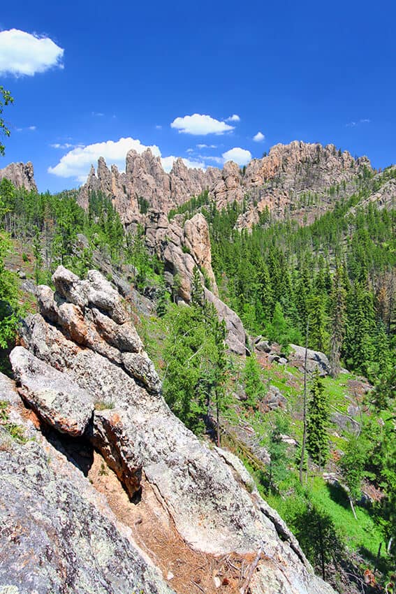 View of the Black Hills National Forest near the Devil's Tower