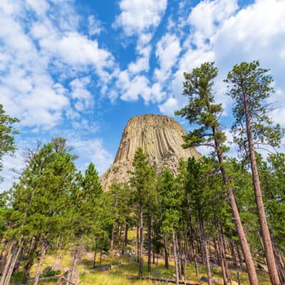 Viaggio alla Devil’s Tower (la Torre del Diavolo) in Wyoming (USA)