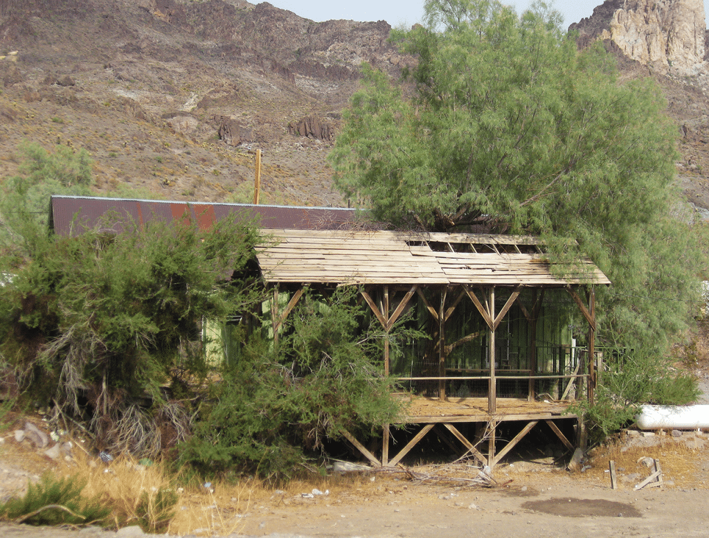 Oatman,-the-ghost-town_3