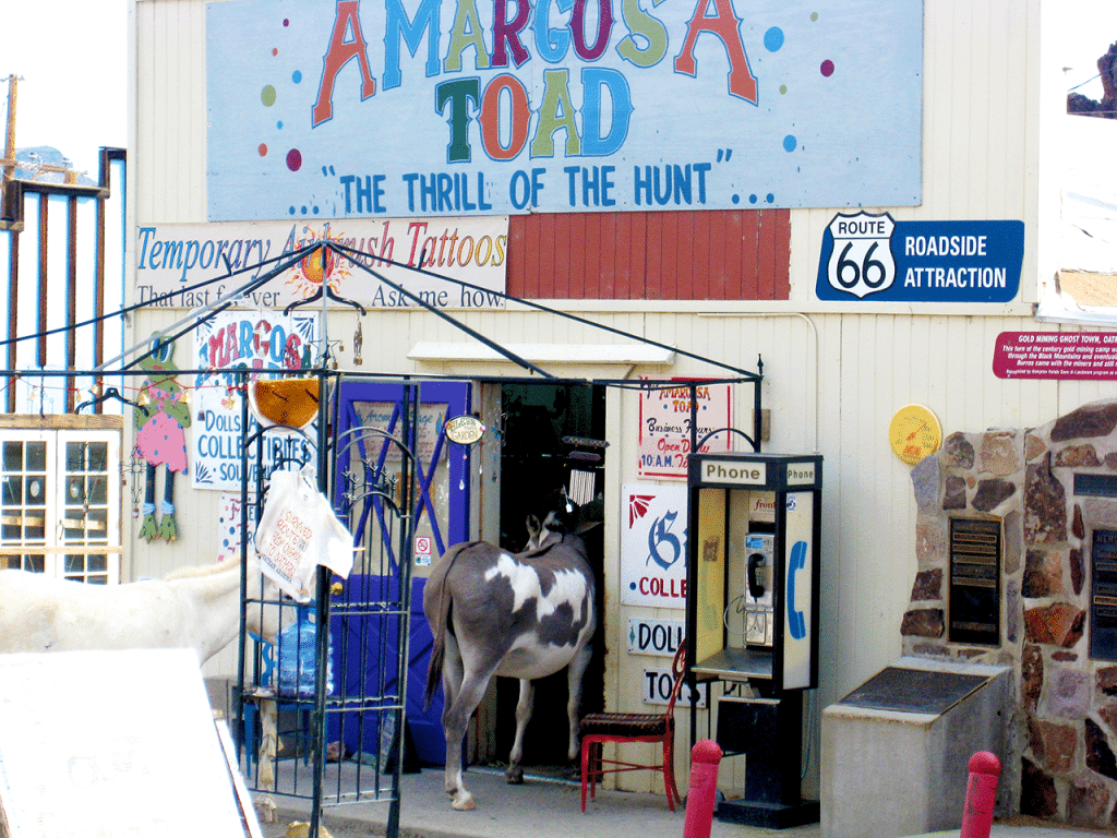 Oatman,-the-ghost-town_6