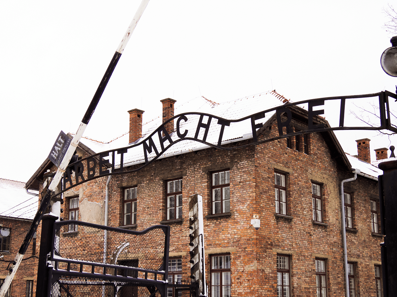 Why forgetting is a crime: a trip to Auschwitz