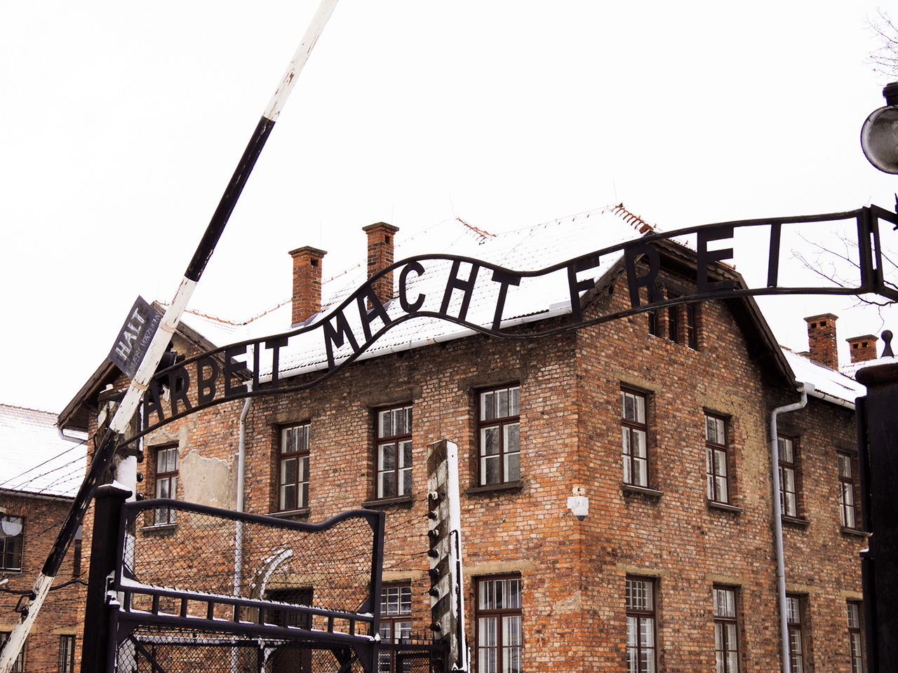 Viaggio ad Auschwitz: perché ricordare è importante