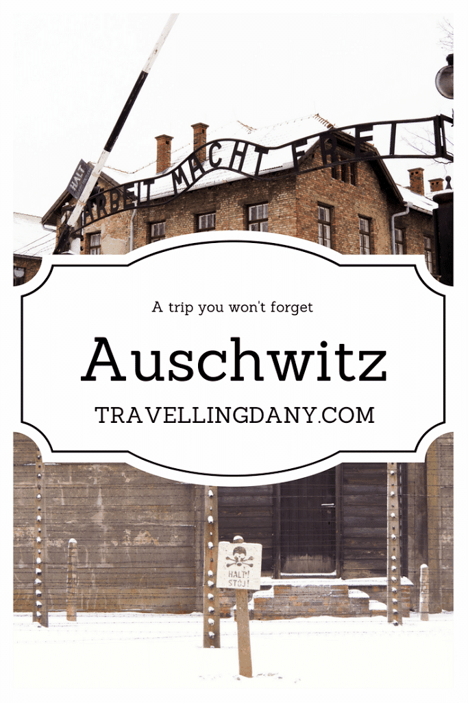 a-trip-to-Auschwitz_Pinterest