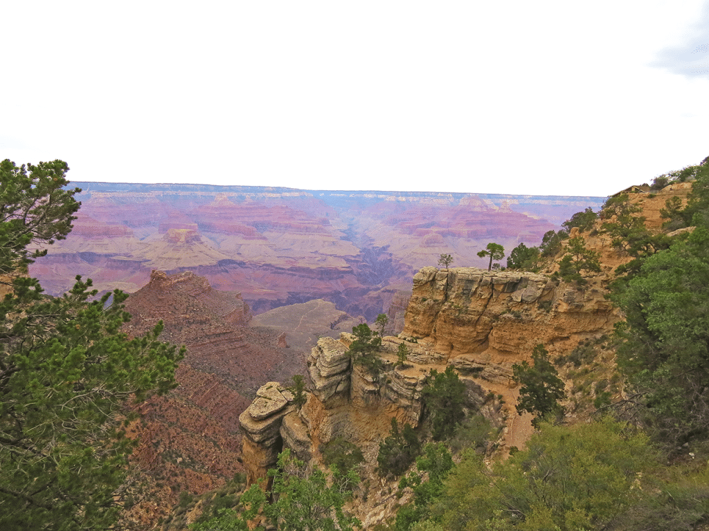 View of Moran Point on a day trip to the Grand Canyon, with threes and  different layers of rocks