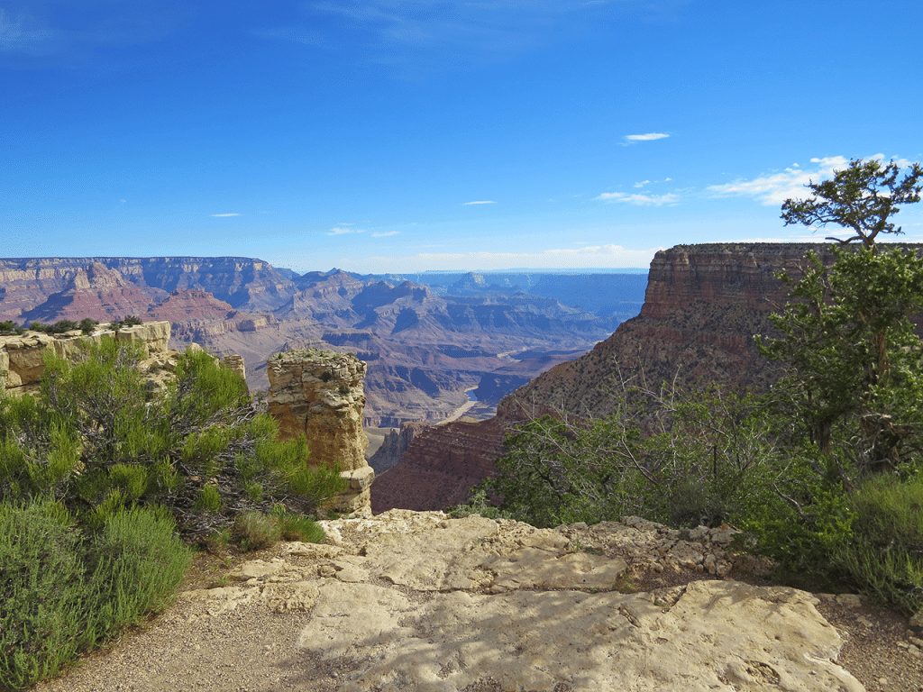 Trees and plants contrasting against the red rocks at Lipan Point, Grand Canyon, USA