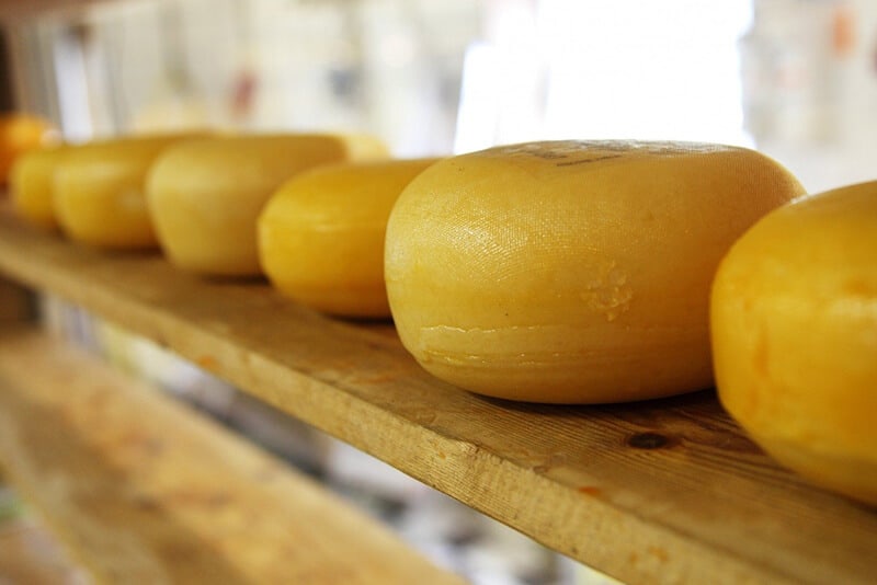 Forme di formaggio gouda in vendita al mercato dei formaggi di Alkmar, Paesi Bassi