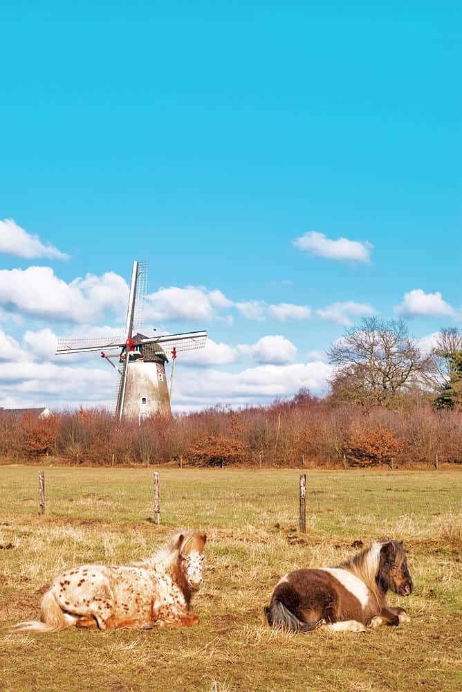 Fall in the Netherlands