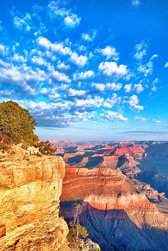 Panorama del Grand Canyon in una giornata soleggiata