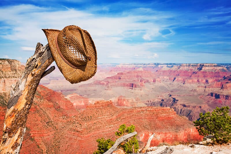 Cappello da cowboy appeso a un ramo con il Grand Canyon sullo sfondo