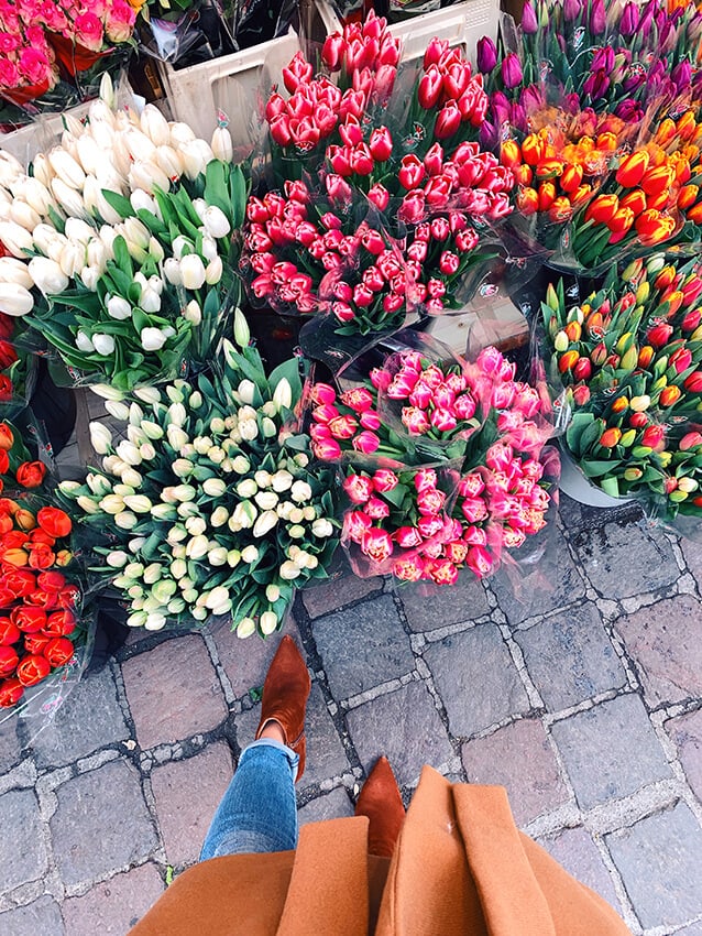 Spring tulips sold at a shop in the Netherlands in spring