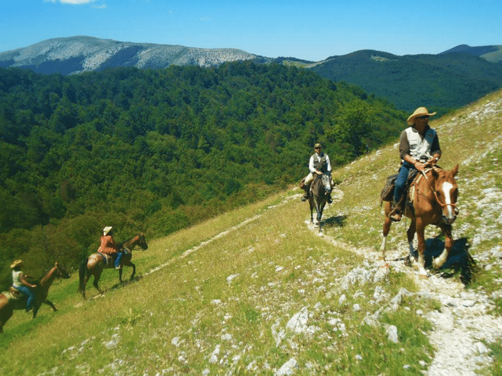 The-Gustav-Line-on-horseback_2