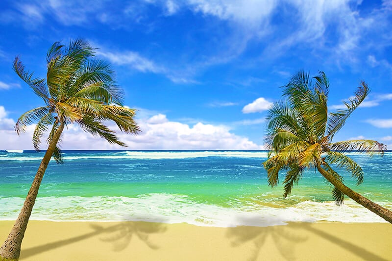 Palms and a tropical beach at one of the road to Hana stops in Maui