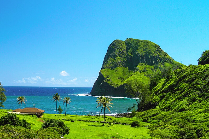 One of the stops on the road to Hana (Maui) a cove with green hills and tall palms