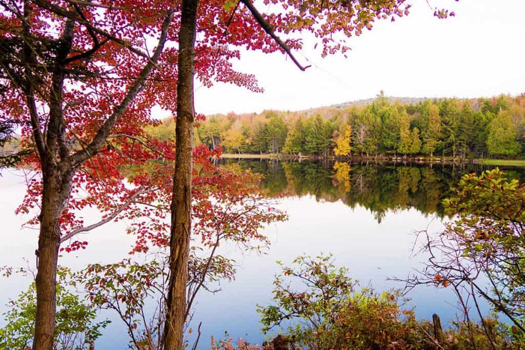 Fall foliage mirrored into a lake in the Adirondacks