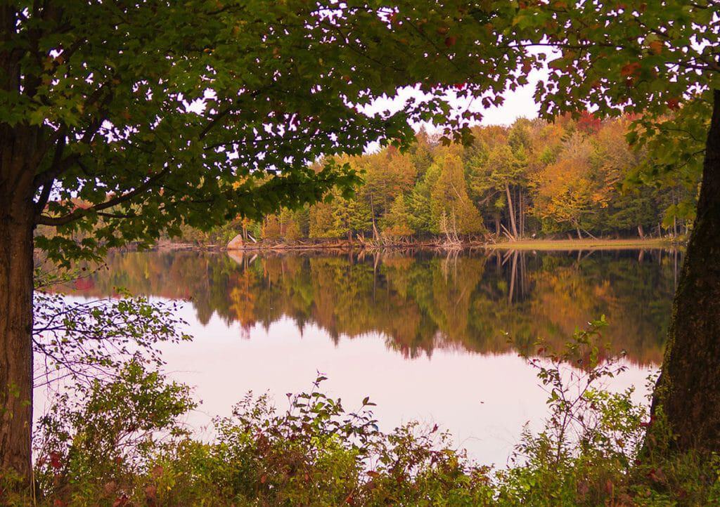 Red leaves mirroring in Lake Champlain on an autumn hike in the Adirondacks