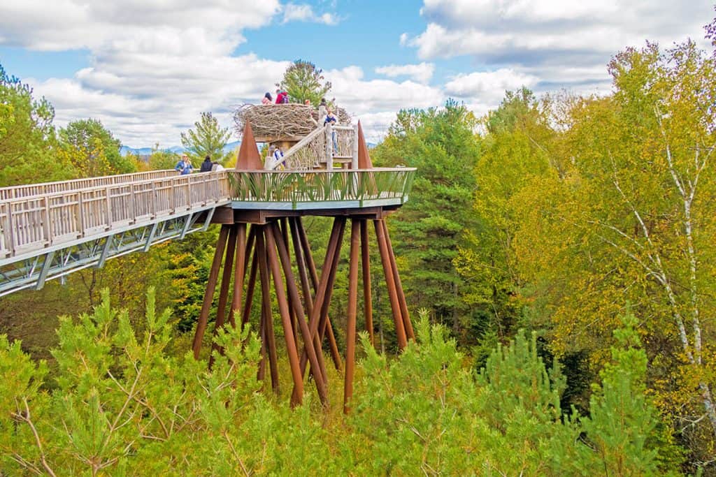 View of the Eagle's Nest at the Wild Center in Tupper Lake