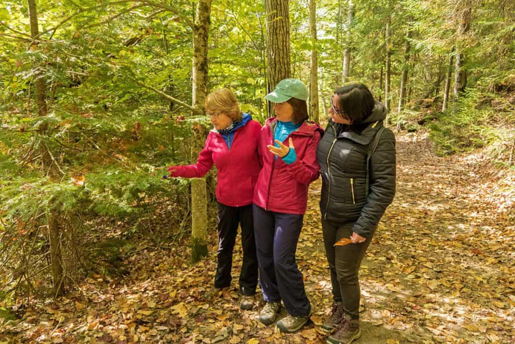 Danila Caputo studying the trees with Helene Gibbens and Suzanne Weirich