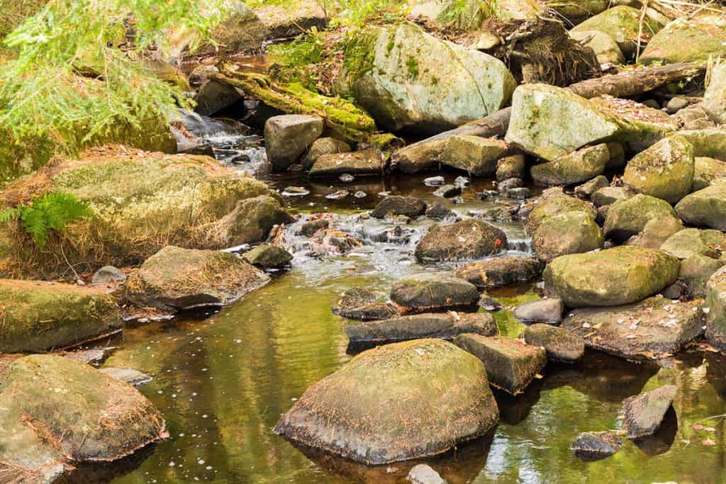 Rocce ricoperte di muschio accanto a un ruscello nelle foreste del parco nazionale degli Adirondacks