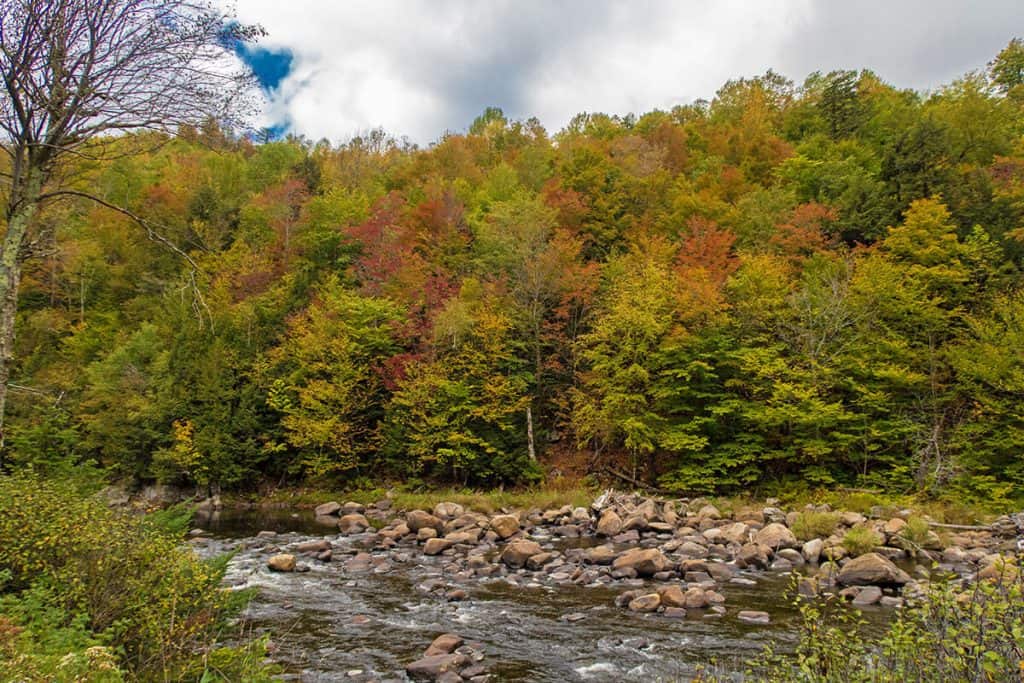 Escursionismo negli Adirondacks in autunno: le rapide di un fiume nella foresta