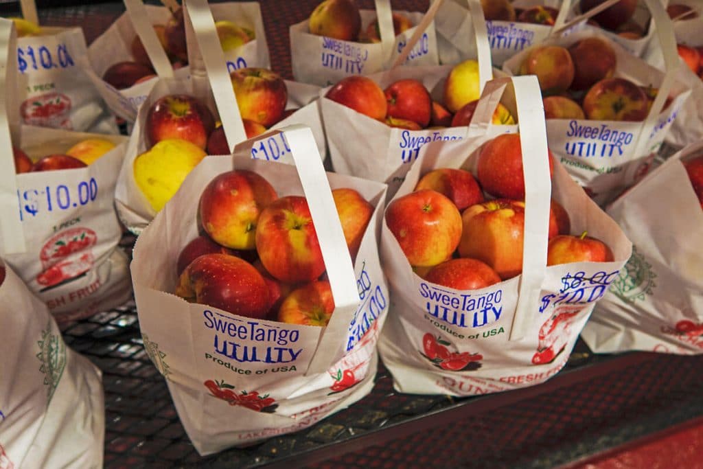 Sacchi di mele fresche alla Gunnison Lakeshore Orchards