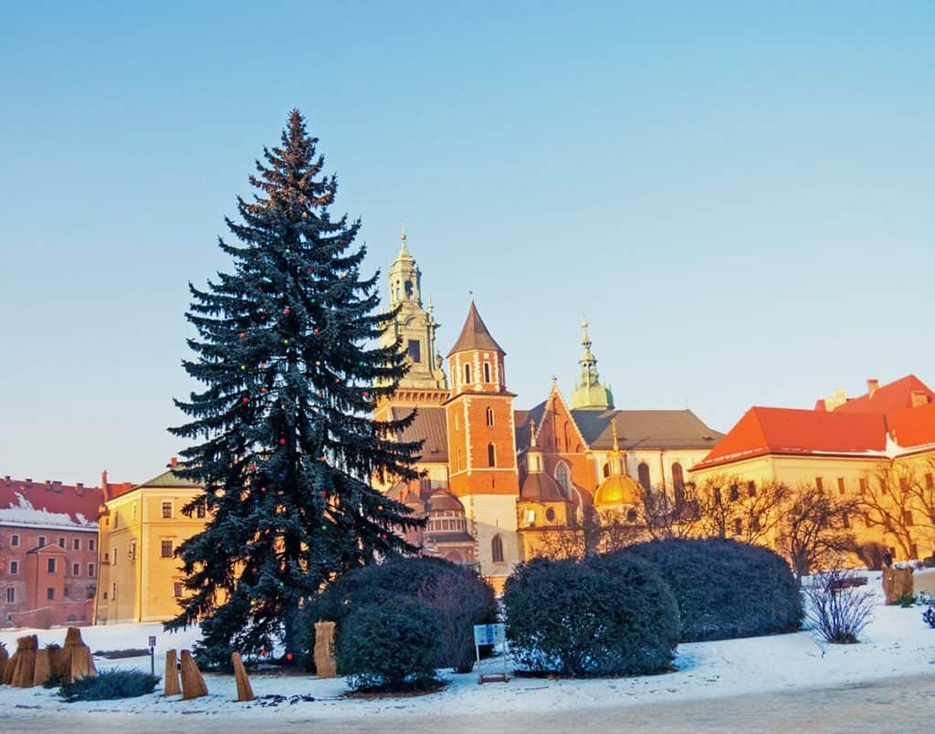 Albero di Natale al Castello del Wawel a Cracovia a Natale