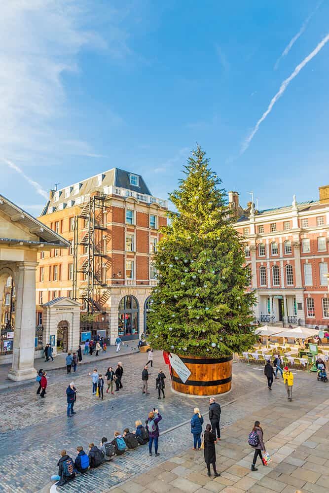 Albero di Natale a Londra per le feste