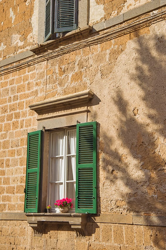 Green window with a pot of bright pink flowers in an ancient building in Florence