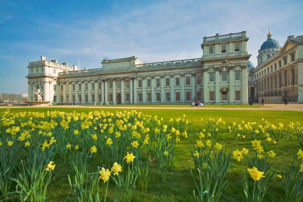 Daffodils at Greenwich Park gardens on a sunny morning