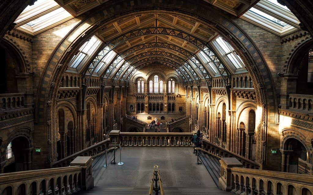 Il Museo di Storia Naturale a Londra visto dalle scalinate di primo mattino