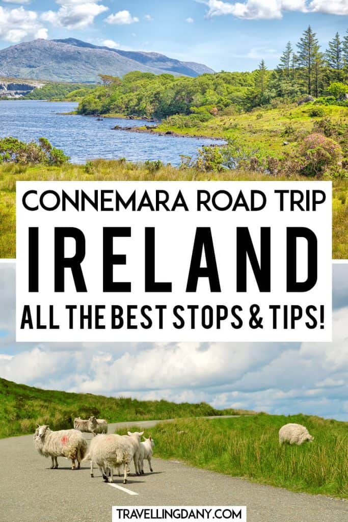 Stai organizzando un viaggio in Irlanda? Allora devi assolutamente visitare il Connemara National Park! Scopri un fantastico itinerario per un road trip in Irlanda, tra piccoli villaggi da fiaba, scogliere fantastiche e cavalli selvatici nel Connemara. Sarà indimenticabile! | #irlanda #viaggi #vacanze