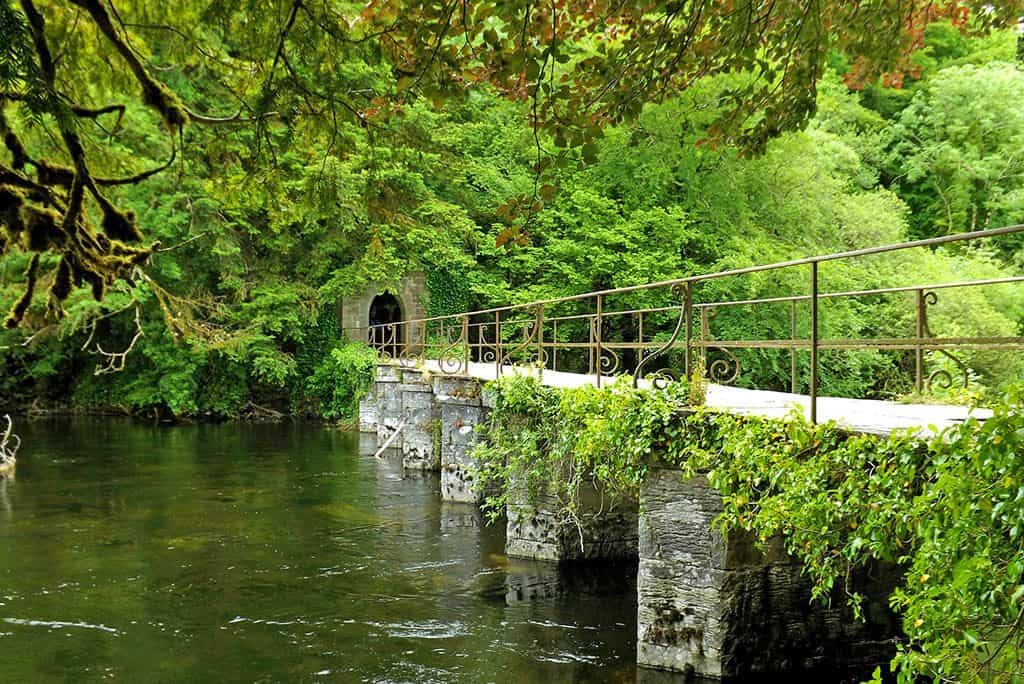 Ponte di pietra a Cong in Irlanda, nel Parco Nazionale del Connemara, parzialmente coperto dalla vegetazione