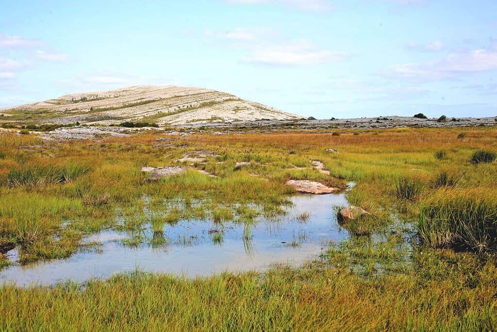 One of the bogs in the Connemara National park