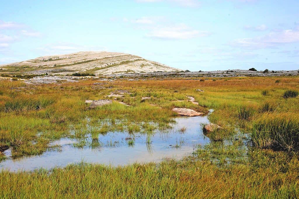 Driving in Ireland | One of the bogs in the Connemara National park