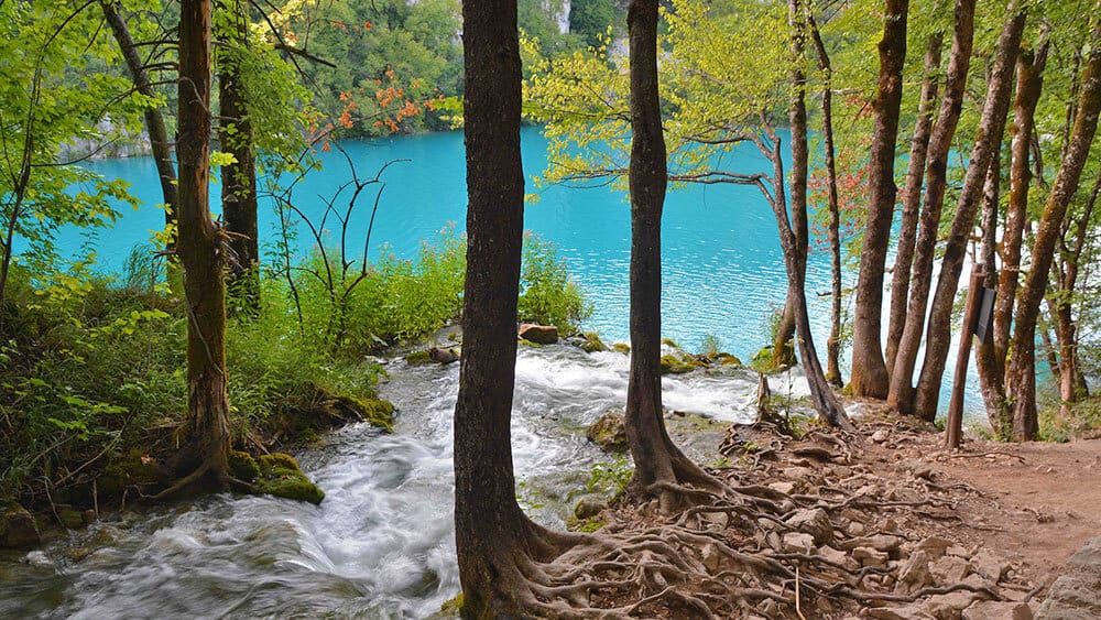 Scatto a lunga esposizione di un ruscello che dalla foresta si tuffa in un lago