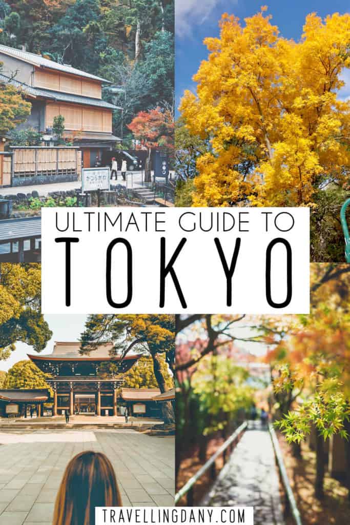 Hai organizzato un viaggio in Giappone in autunno e temi di non riuscire a vedere tutto? Pianificiamo insieme un itinerario per un viaggio a Tokyo pieno di esperienze incredibili, divertimento, santuari e cultura giapponese! | #tokyo #giapponese