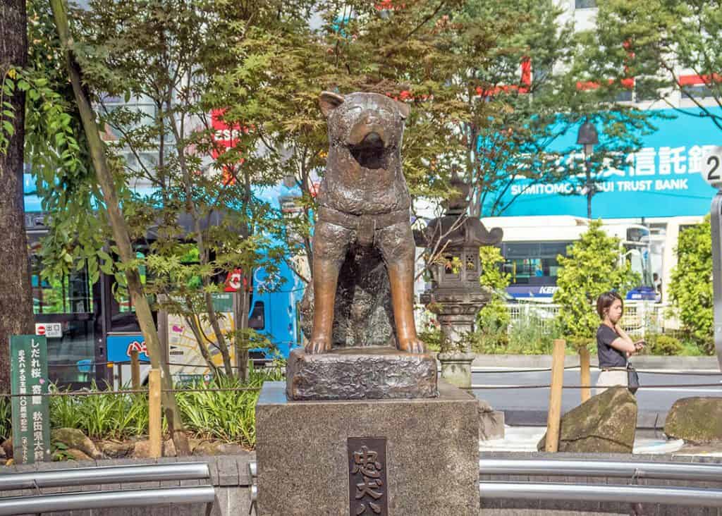 Hachiko statue at Shibuya, Tokyo