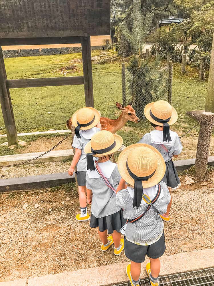 Kyoto cosa vedere in 3 giorni - Quattro bimbi con l'uniforme scolastica dell'asilo giocano con un cervo a Nara