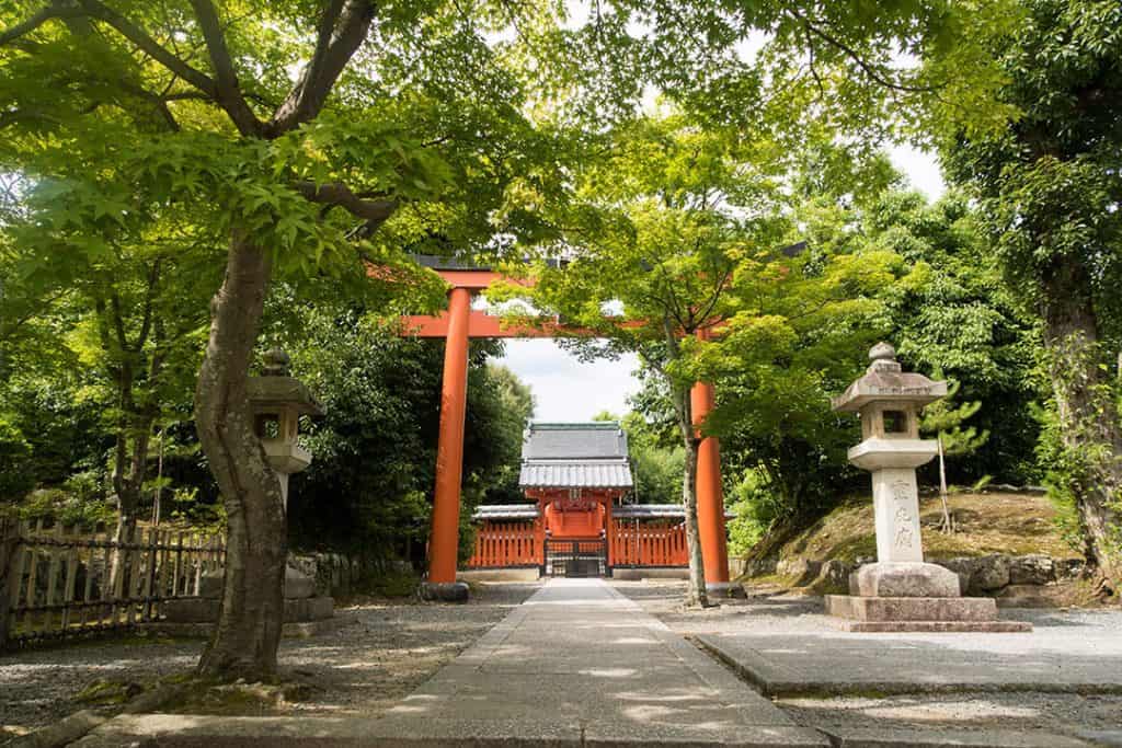 3 day Kyoto itinerary | Red torii gate and luscious green trees at the entrance of Tenryu-Ji temple