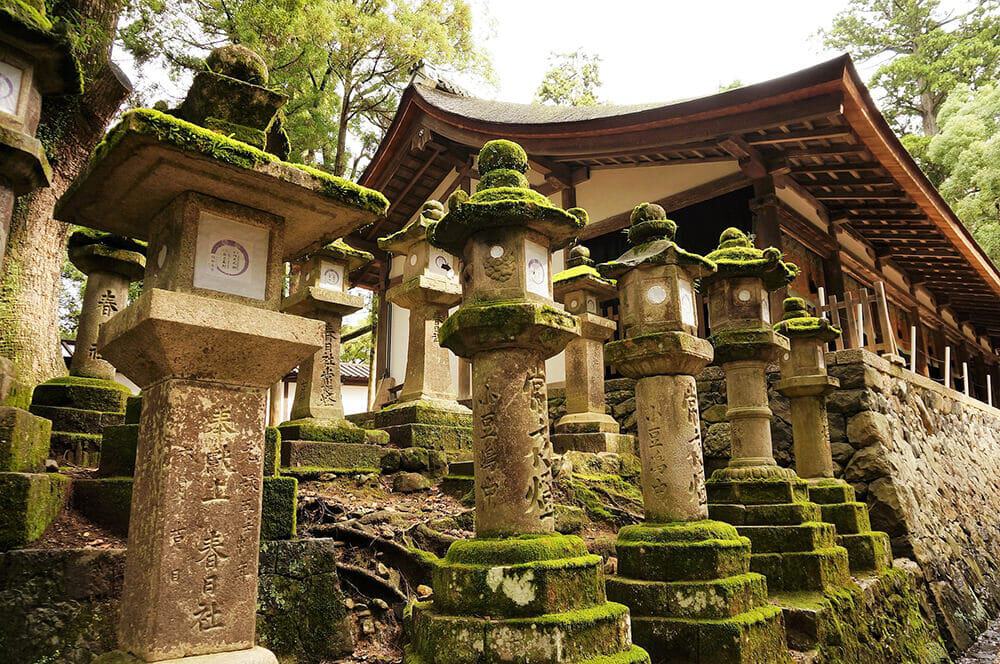 Vista del santuario di Kasuga Taisha dall'esterno, parzialmente ricoperto da muschio