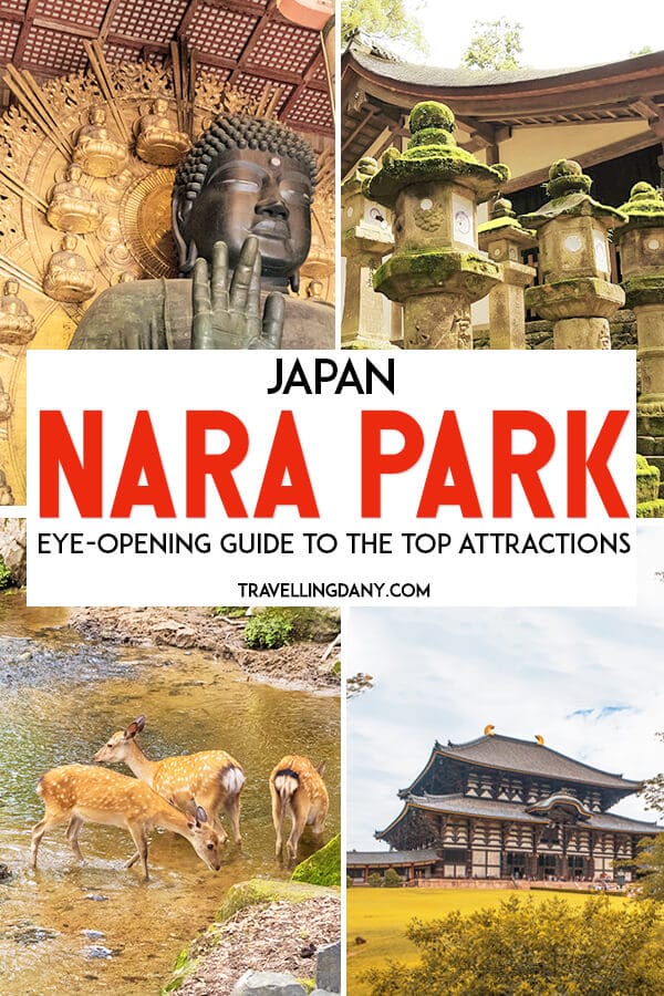 Una guida utile per esplorare il parco di Nara in Giappone, con informazioni pratiche su come arrivarci con i mezzi pubblici (con o senza Japan Rail Pass), cosa aggiungere in itinerario... e ovviamente sui magnifici cervi sika! | #Giappone #Nara #Viaggio #Natura #Cervi