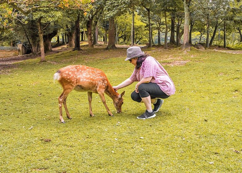 Dany che carezza uno dei cervi di Nara