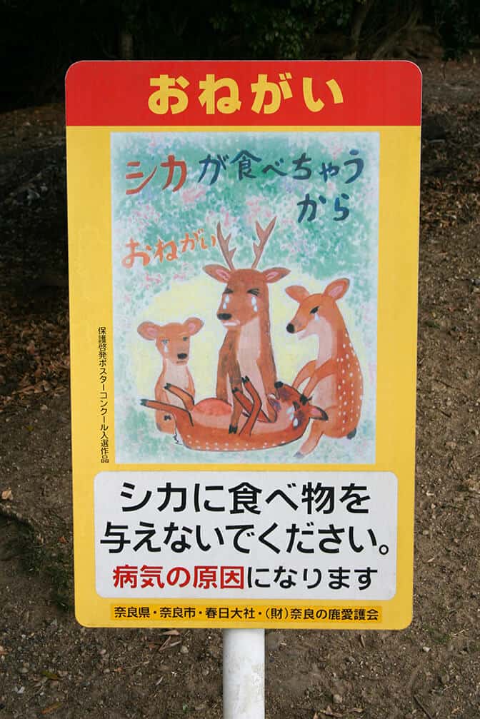 Cartello che indica di non dare da mangiare ai cervi in Giappone
