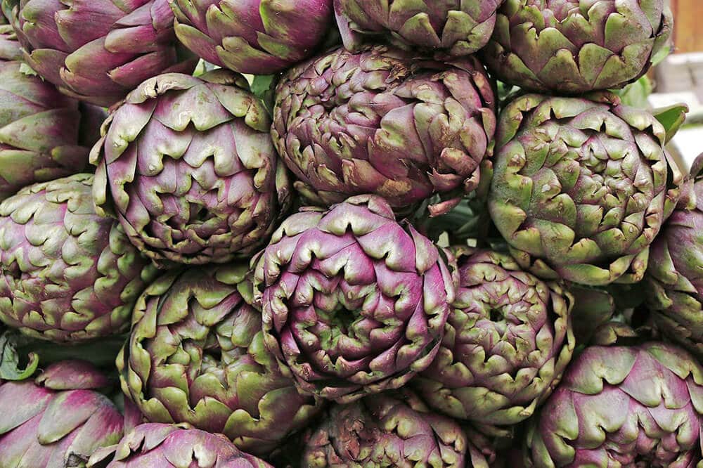 Close up of purple artichokes to be used for carciofi alla giudia, an Italian traditional dish