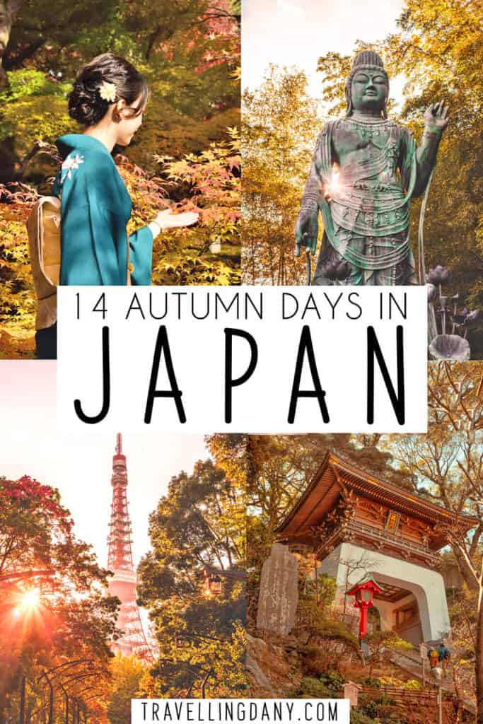 Stai organizzando un viaggio per visitare il Giappone in autunno e non sai bene da che parte iniziare! Questo itinerario da 14 giorni copre tutte le basi nel dettaglio. Per organizzare un fantastico viaggio in Giappone in autunno! | #giappone #oriente
