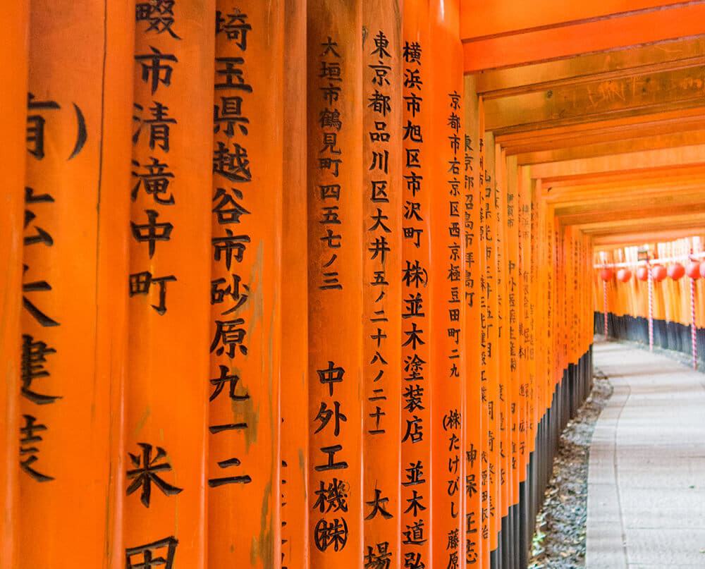 14 days Japan itinerary - Vermillion torii at Fushimi Inari Taisha shrine in Kyoto