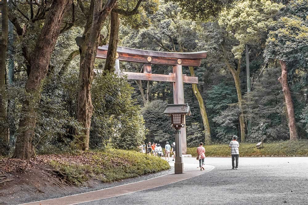 14 days Japan itinerary - One of the torii at Meiji Jingu shrine in Tokyo