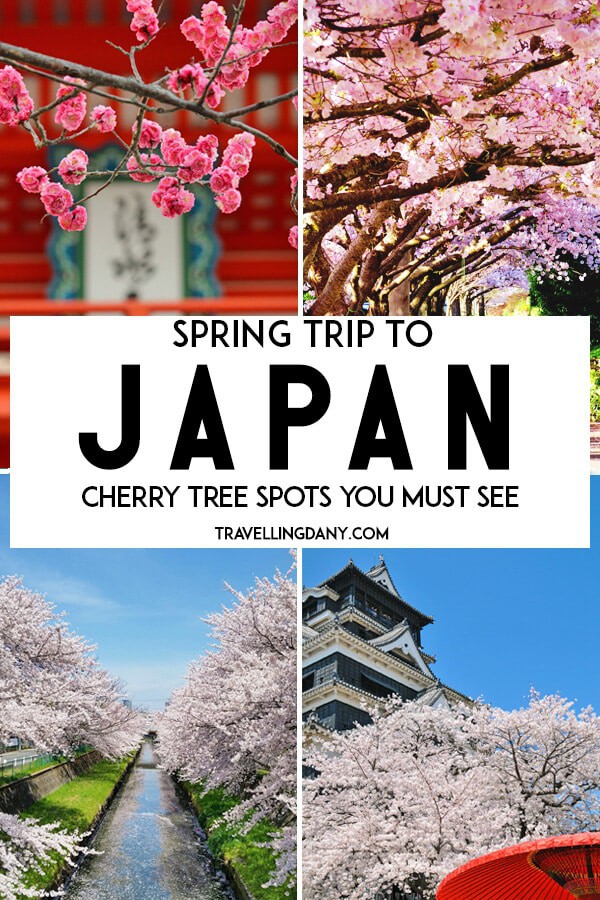 The most amazing cherry blossom viewing spots in Japan! Go out of the beaten path to avoid the crowds and to make sure you get the best hanami (sakura viewing) experience ever! With info on the best time for cherry blossoms in Japan and the instagrammable spots! | #japan #japanesegardens #cherryblossoms #traveltips #spring