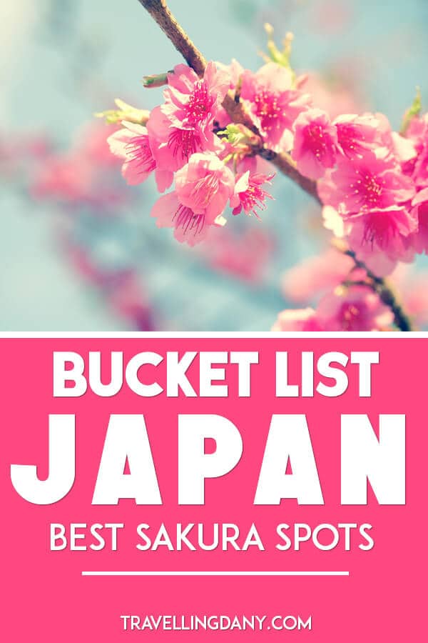 When do the cherry blossoms bloom in Japan and how can you avoid the huge crowds? Let’s find out what are the best spots for cherry blossoms photography, out of the beaten path, in places that often are overlooked by the tourists! Are you ready for your trip to Japan in spring time? | #sakura #travelhacks #asian #japanese #outdoorliving