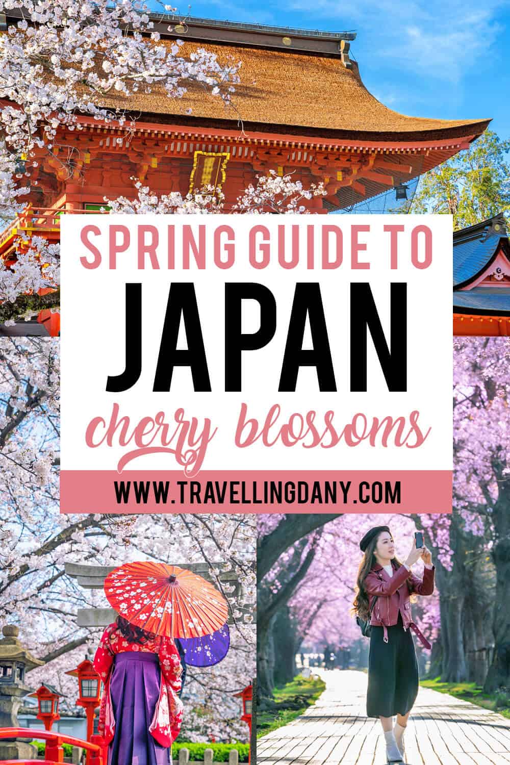 The best places to see cherry blossoms in Japan - Travelling Dany