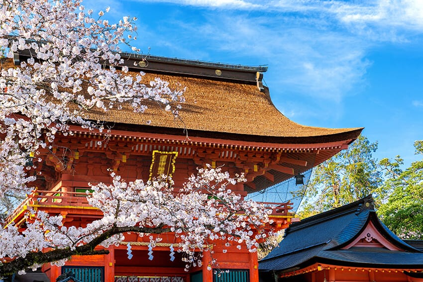 A cherry tree full of pink blossoms next to an ancient temple in Japan